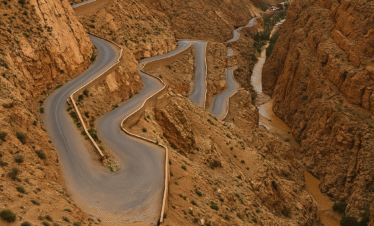dades foto