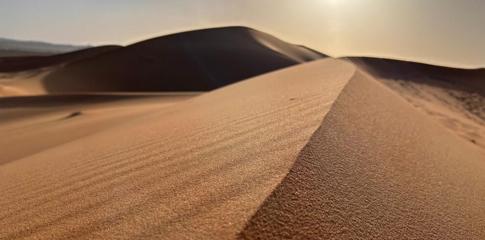 paseo en camello en el deserto del sahara en merzouga.marruecos