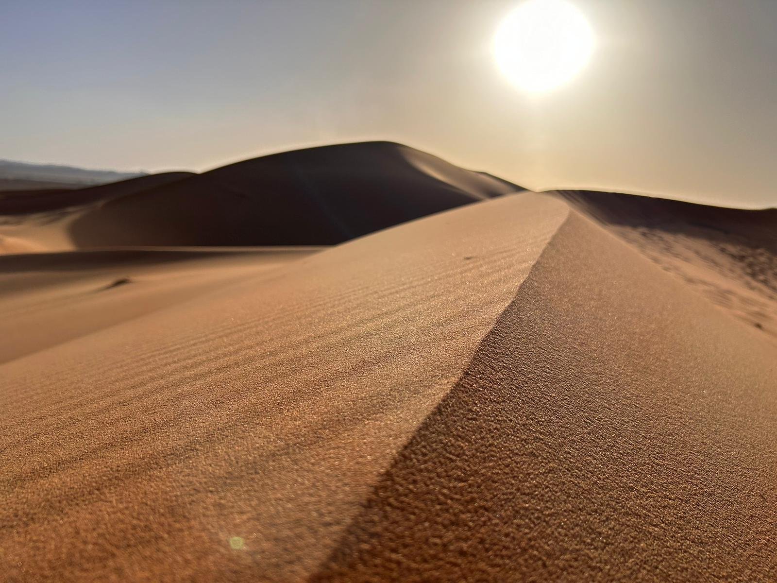paseo en camello en el deserto del sahara en merzouga.marruecos